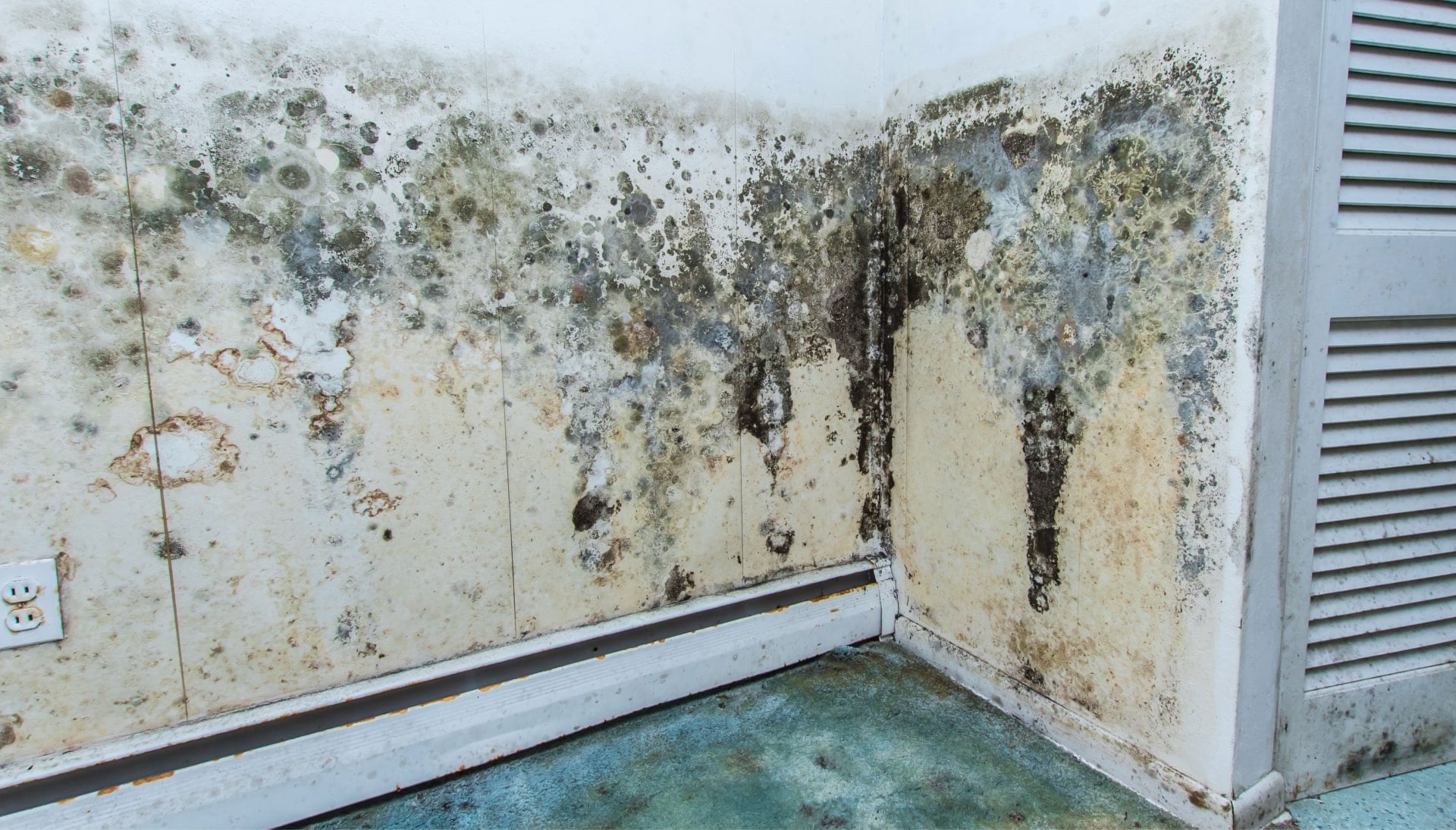 Mold Damage Odor Control Services in Houston