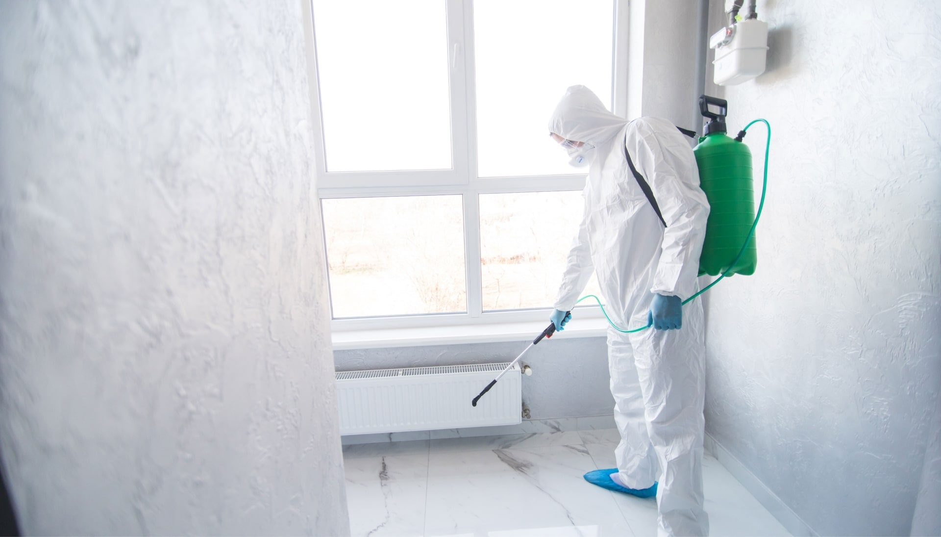 Mold Inspection Services in Houston
